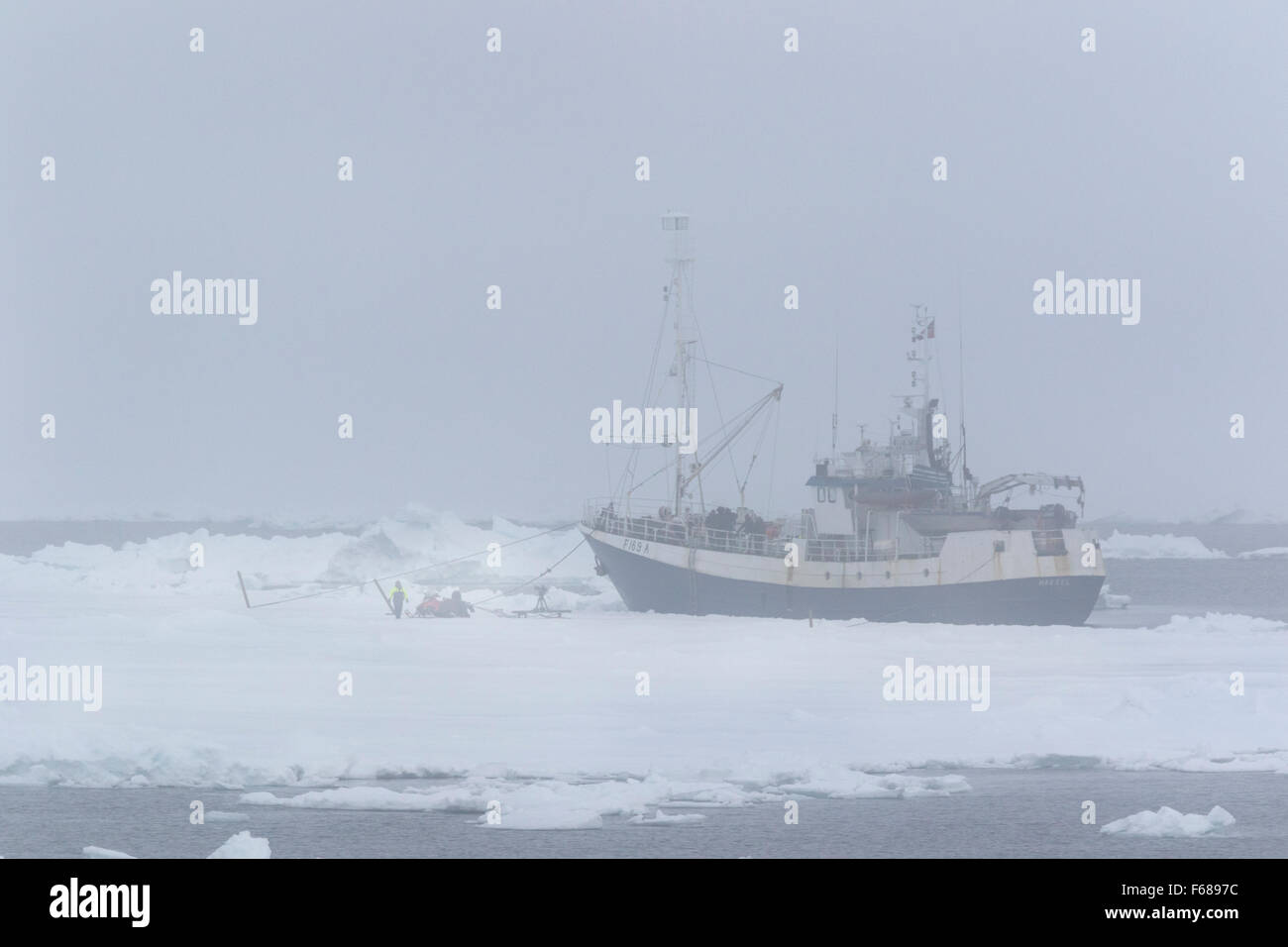 Research ship, Packice, Arctic ocean, Spitzbergen,Svalbard und Jan Mayen, Norway, Europe Stock Photo