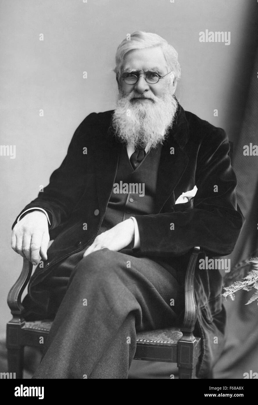 Alfred Russel Wallace (1823 - 1913), a British naturalist, biologist, geographer, and explorer (shown c1895) is best known for independently conceiving the theory of evolution through natural selection. Wallace's paper on the subject was jointly published with some of Charles Darwin's writings in 1858. Stock Photo