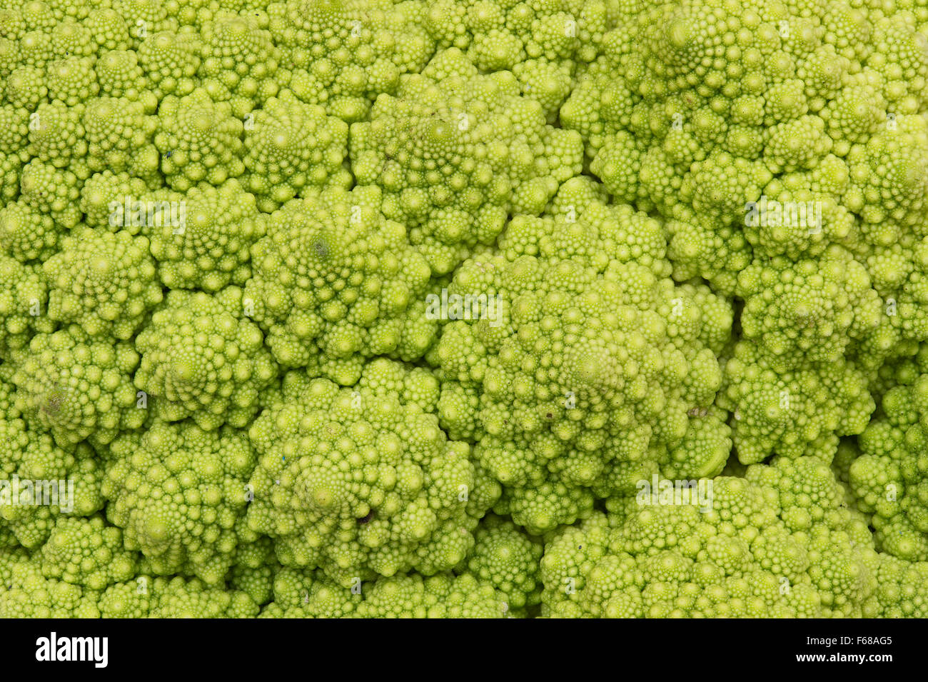 Romanesco cauliflower pattern Stock Photo