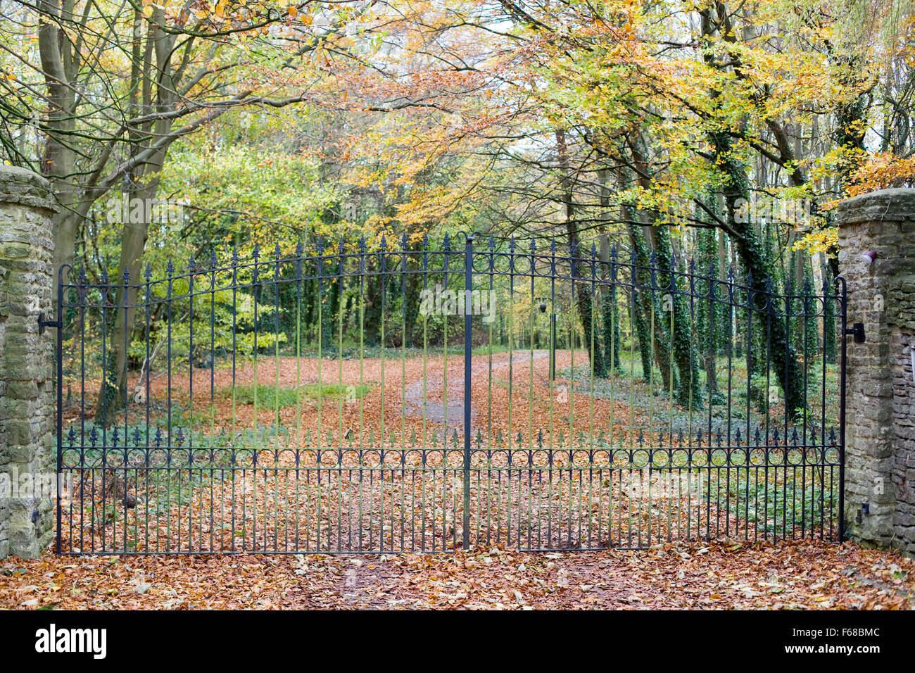 Wrought iron gates in the countryside, Fall/Autumn in England Stock Photo