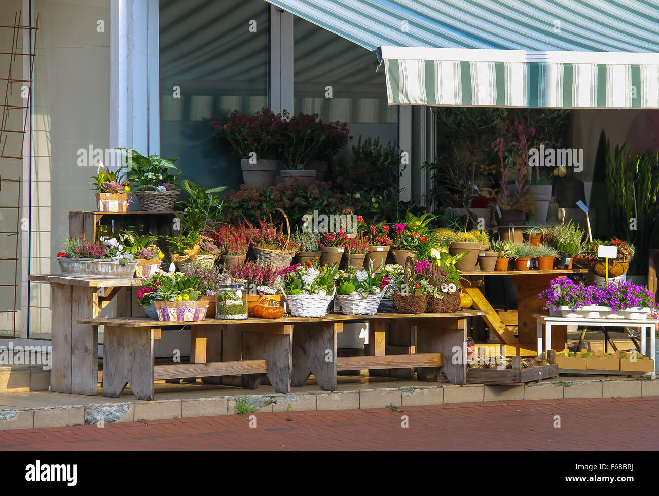 Baskets And Pots With Plants On The Wooden Benches In Front Of The
