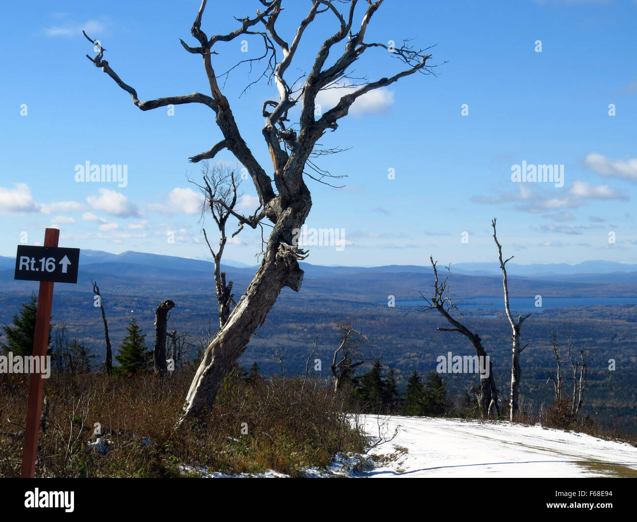 Foliage Season hits peak, Maine USA Stock Photo Alamy