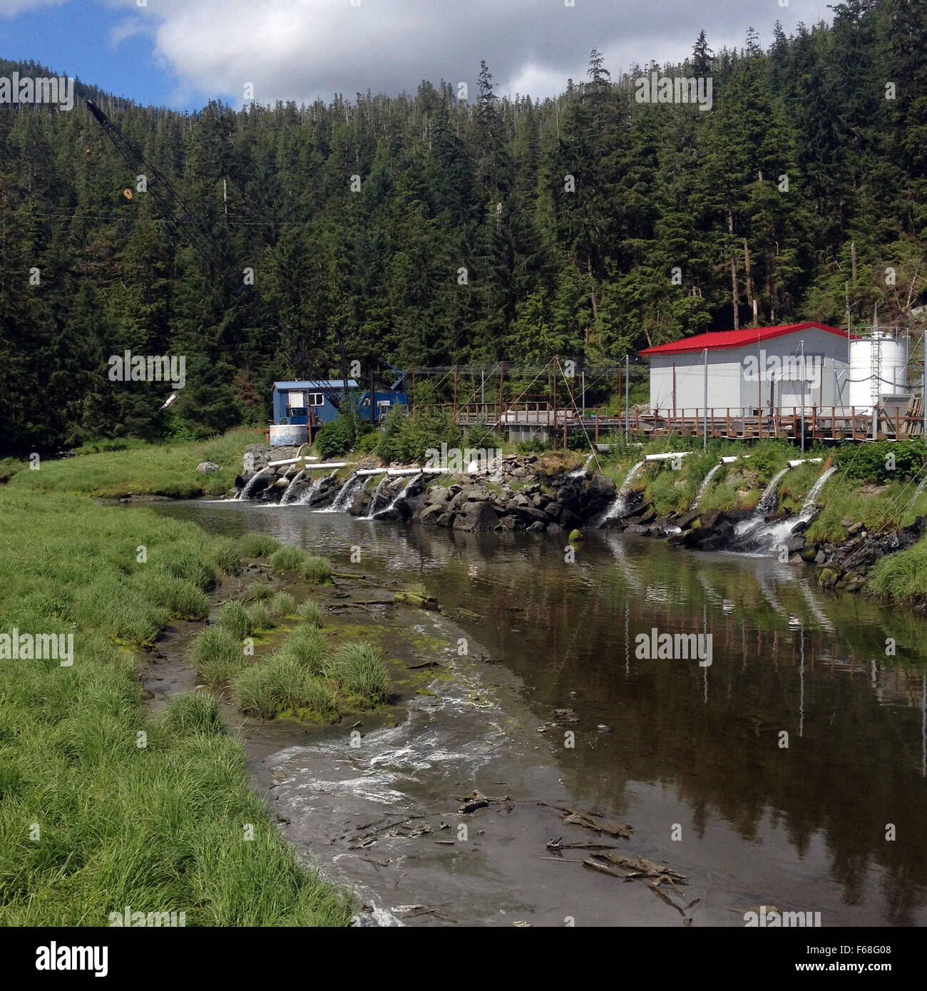 Scene of Salmon Hatchery and creek near Ketchikan, Alaska Stock Photo