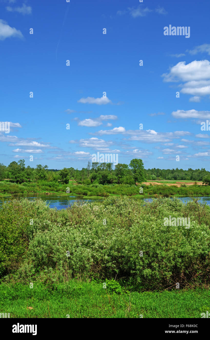 River Western ( Zapadnaja) Dvina landscape Stock Photo - Alamy