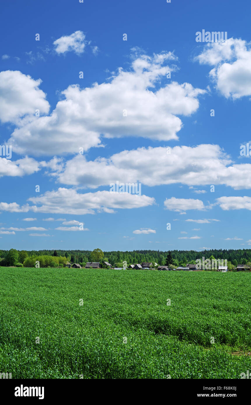 Spring agricultural field Stock Photo - Alamy