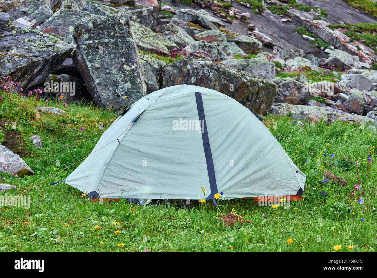 Lightweight hiking dome tent on the green grass Stock Photo