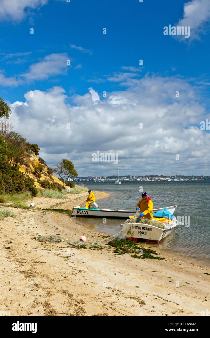 Arne rspb hi-res stock photography and images - Alamy