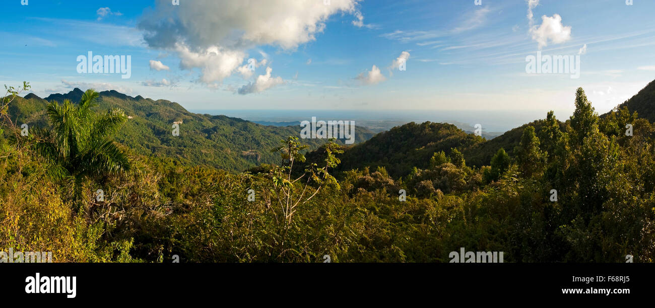 Horizontal panoramic view in Topes de Collantes National Park in Cuba. Stock Photo
