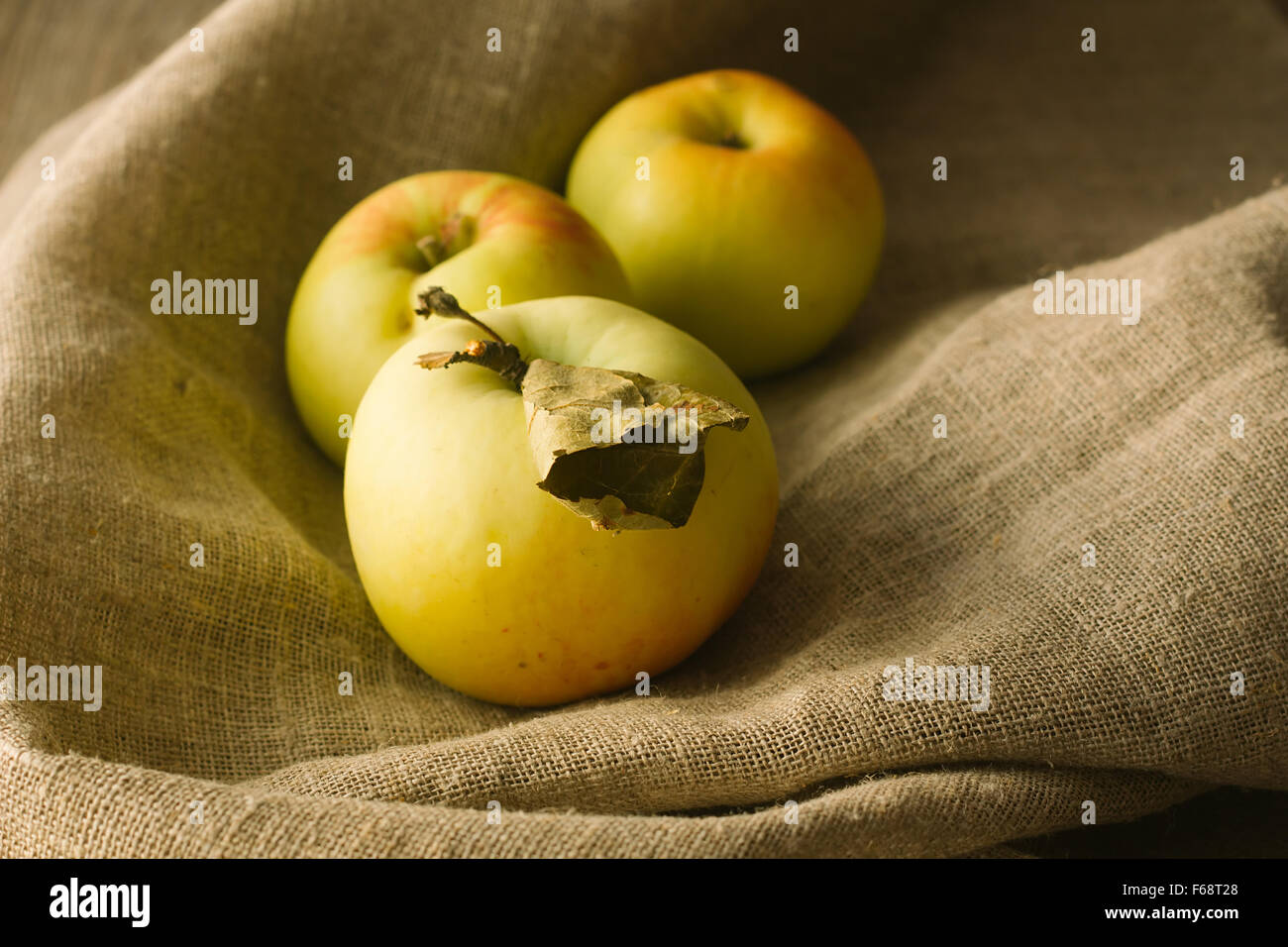 Linen tree hi-res stock photography and images - Alamy