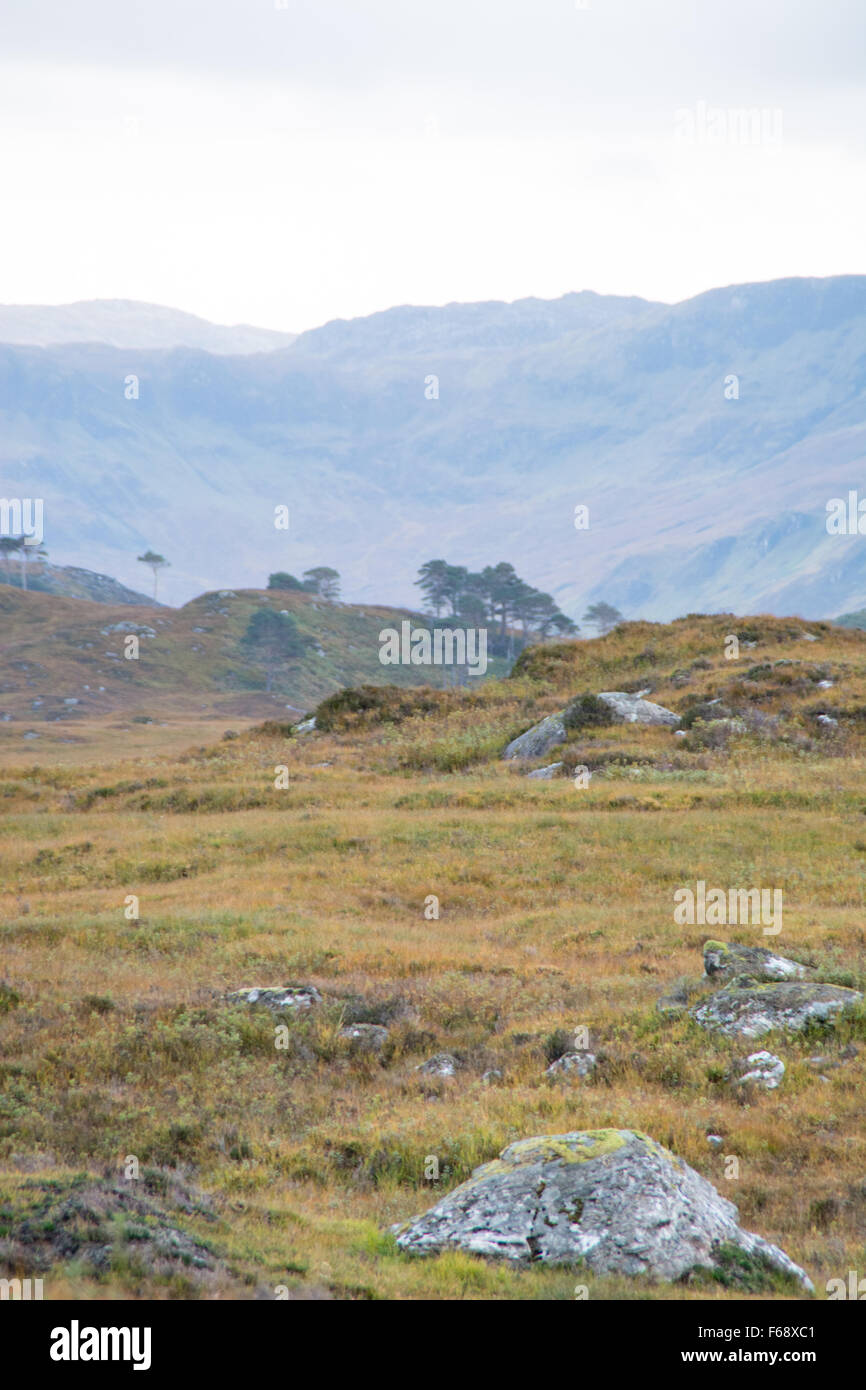 Highlands of Scotland landscape, near Mallaig on the West coast Stock Photo