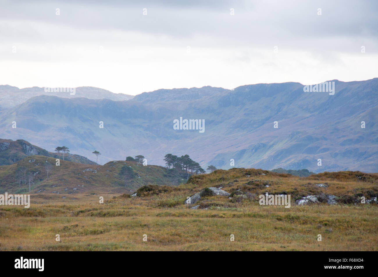 Land around Loch an Nostarie near Mallaig, Highlands, Scotland Stock Photo