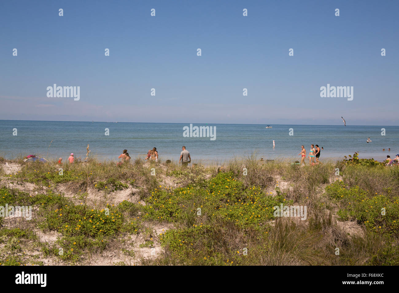Honeymoon island hires stock photography and images Alamy