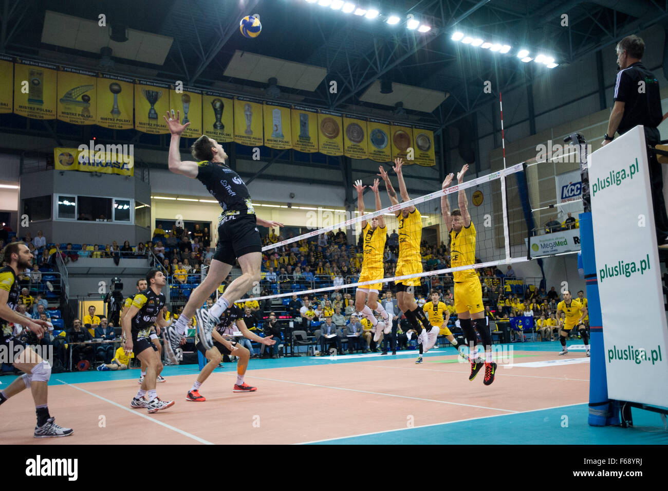Belchatow, Poland. 14th November 2015. Murphy Troy of Lotos Trefl Gdansk, spikes during a game against  PGE Skra Belchatow in the Plus Liga Polish Professional Volleyball League. Team PGE Skra went on to win 3-0. Credit:  Marcin Rozpedowski/Alamy Live News Stock Photo