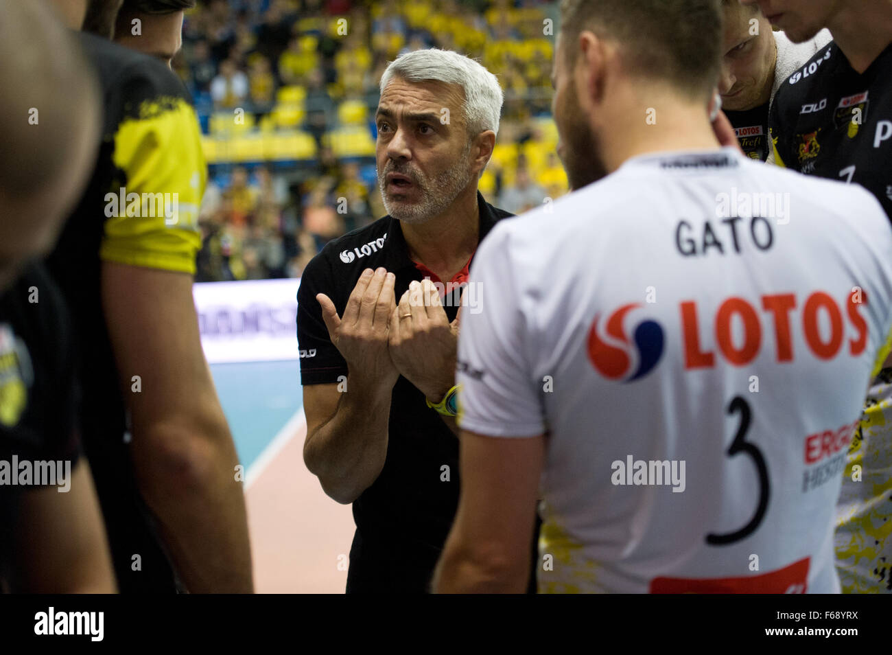 Belchatow, Poland. 14th November 2015. Andrea Anastasi coach of Lotos Trefl Gdansk, gives directives to his team, during a game against  PGE Skra Belchatow in the Plus Liga Polish Professional Volleyball League. Team PGE Skra went on to win 3-0. Credit:  Marcin Rozpedowski/Alamy Live News Stock Photo