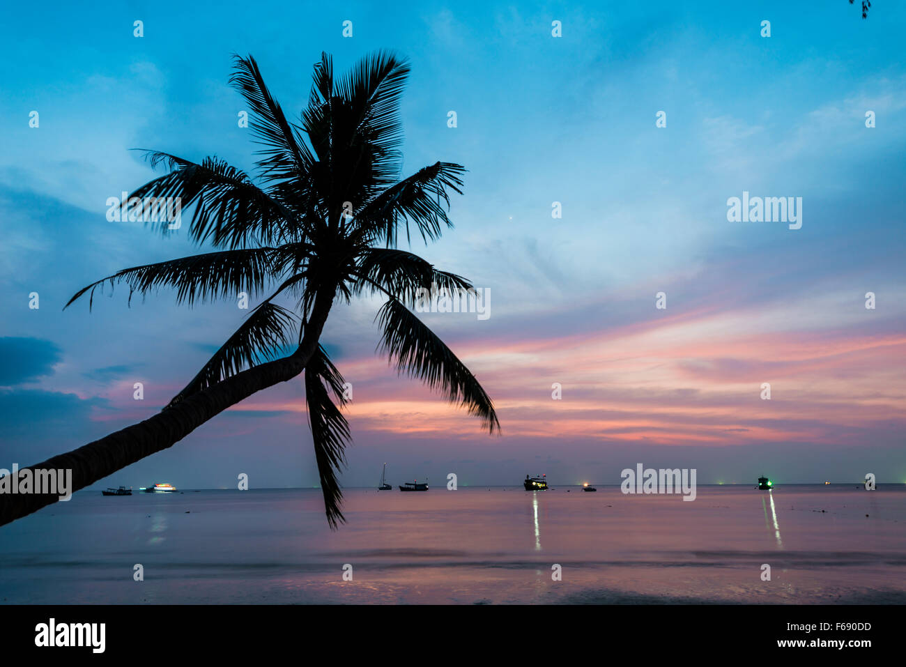Palm tree at sunset, by the sea, South China Sea, Gulf of Thailand, Koh Tao, Thailand Stock Photo