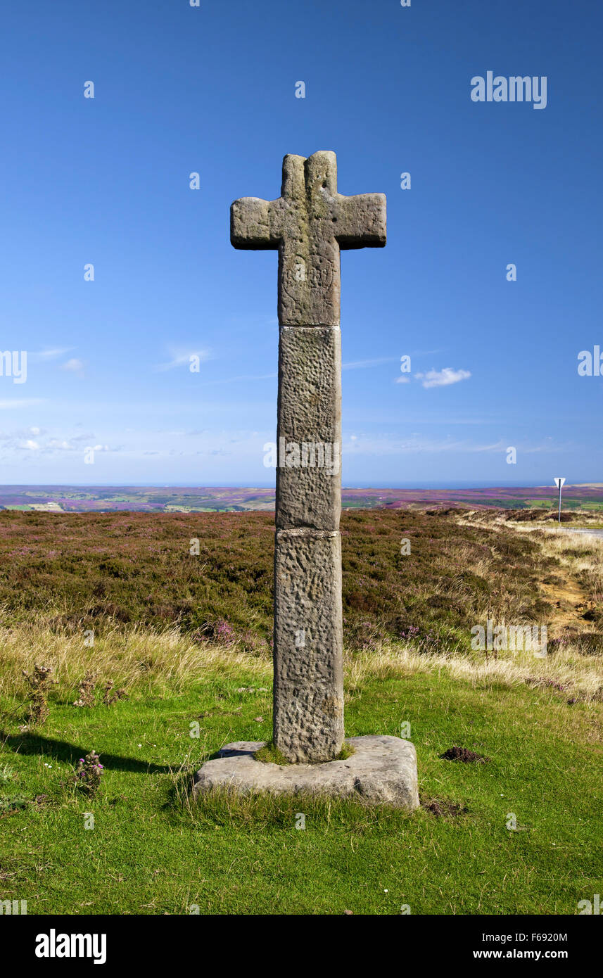 Young Ralph Cross  Rosedale Head North York Moors national park North Yorkshire England UK Stock Photo