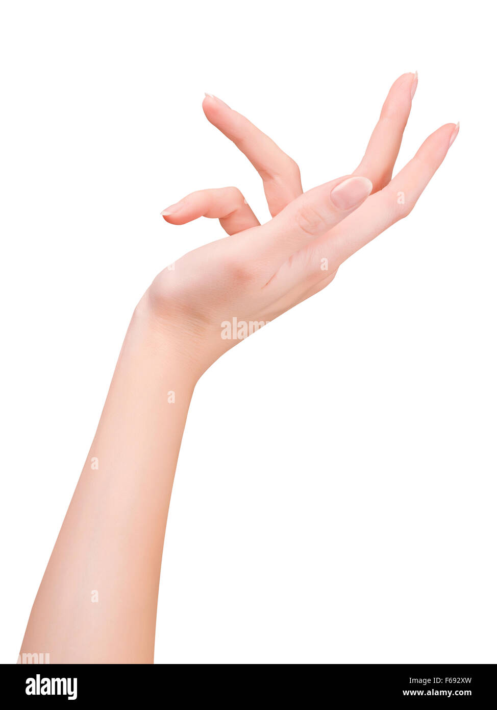 Вытянутые руки. Рука ладонью вверх. Женская ладонь. Раскрытые ладони. Прямые руки.