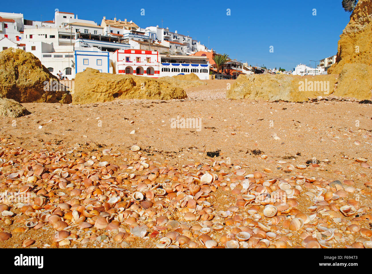 Seashells on a sandy beach with a village in the background. Stock Photo