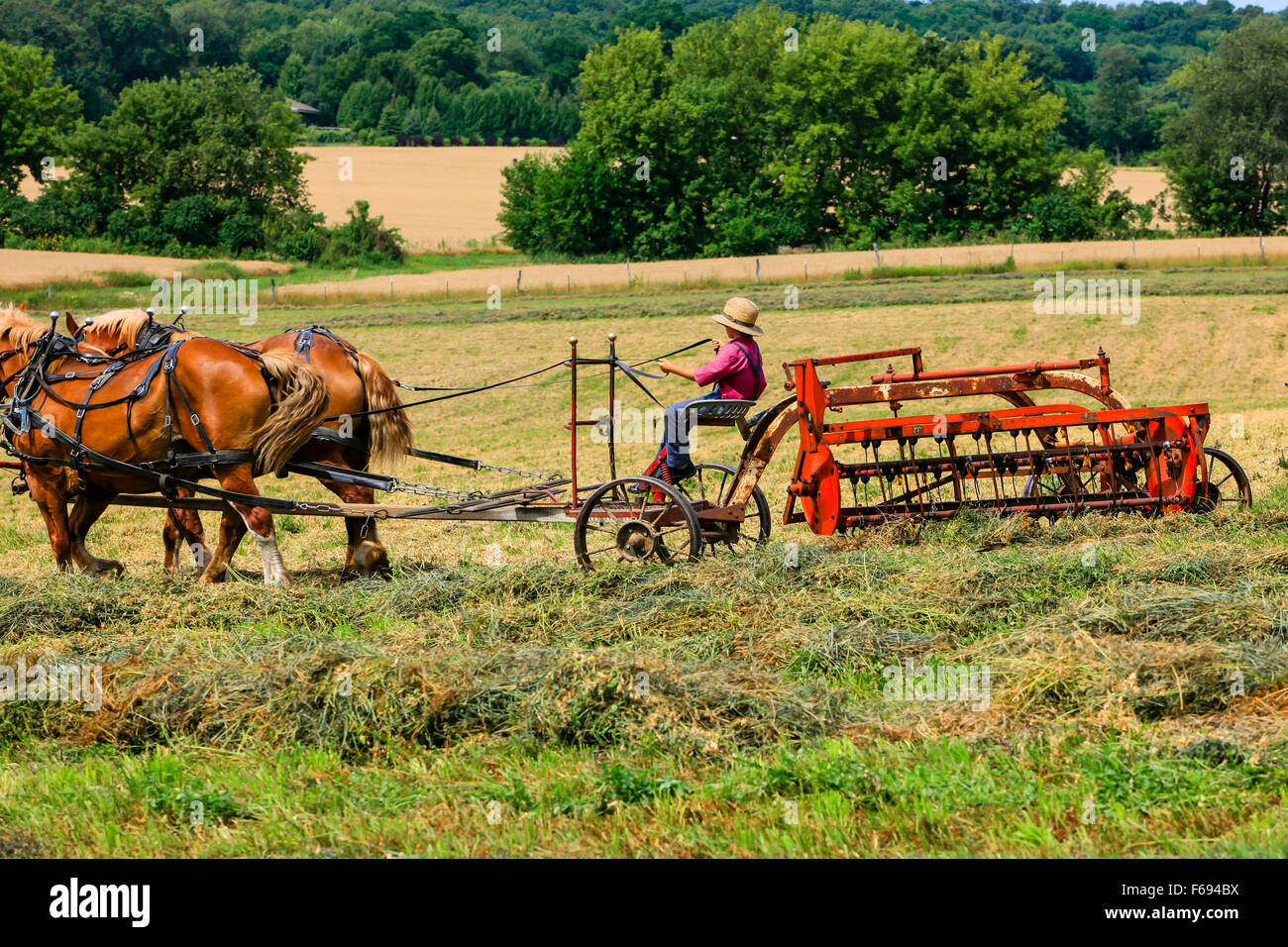 Horse Drawn Farm Equipment Stock Photos & Horse Drawn Farm Equipment