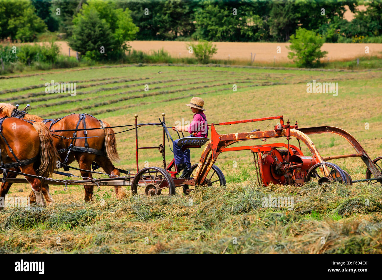 Horse Drawn Farm Equipment Stock Photos & Horse Drawn Farm Equipment