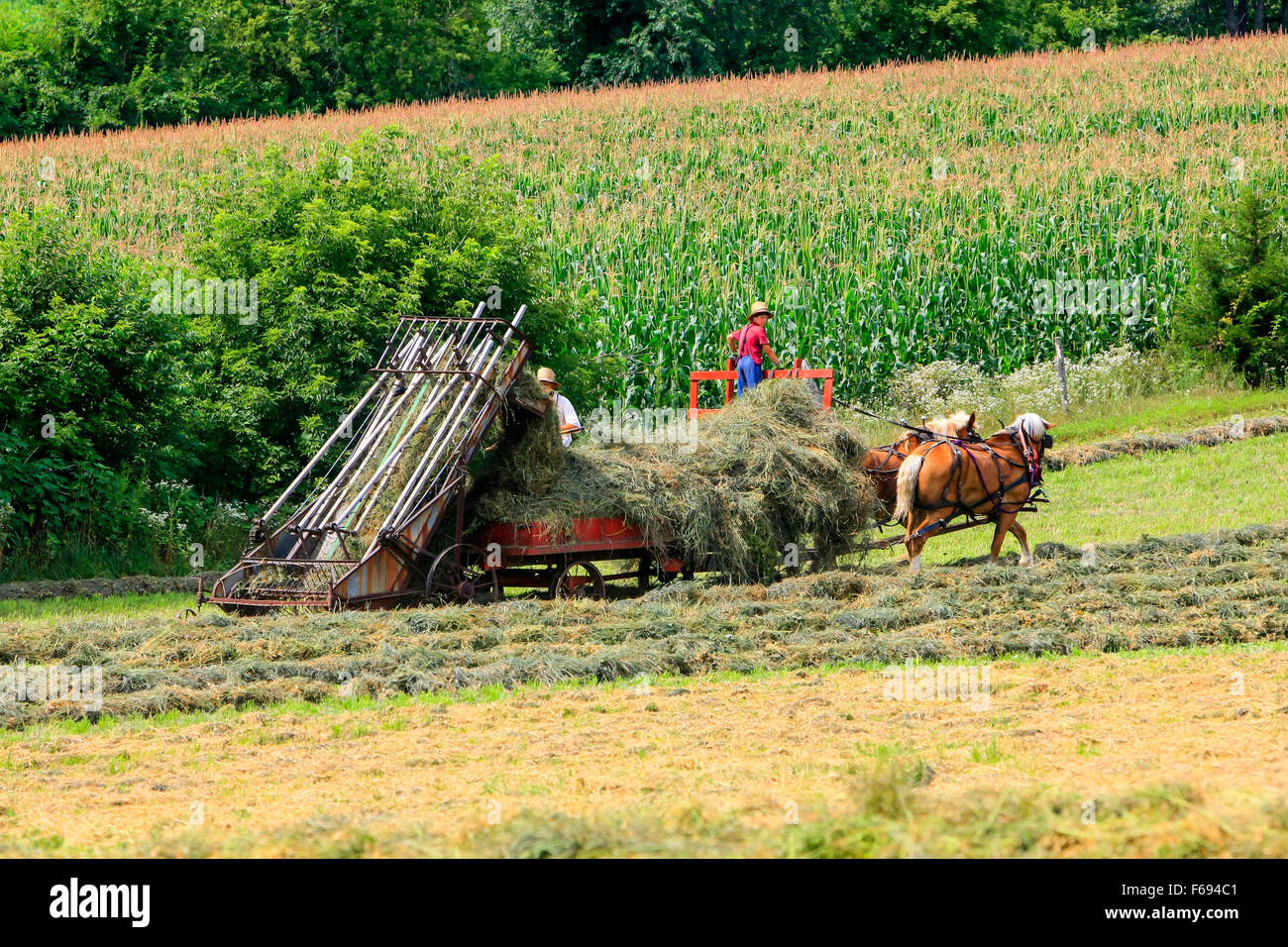 Horse Drawn Farm Equipment Stock Photos & Horse Drawn Farm Equipment