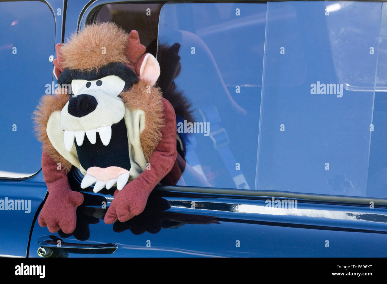 Tasmanian Devil Cuddly toy in a window of a truck Stock Photo