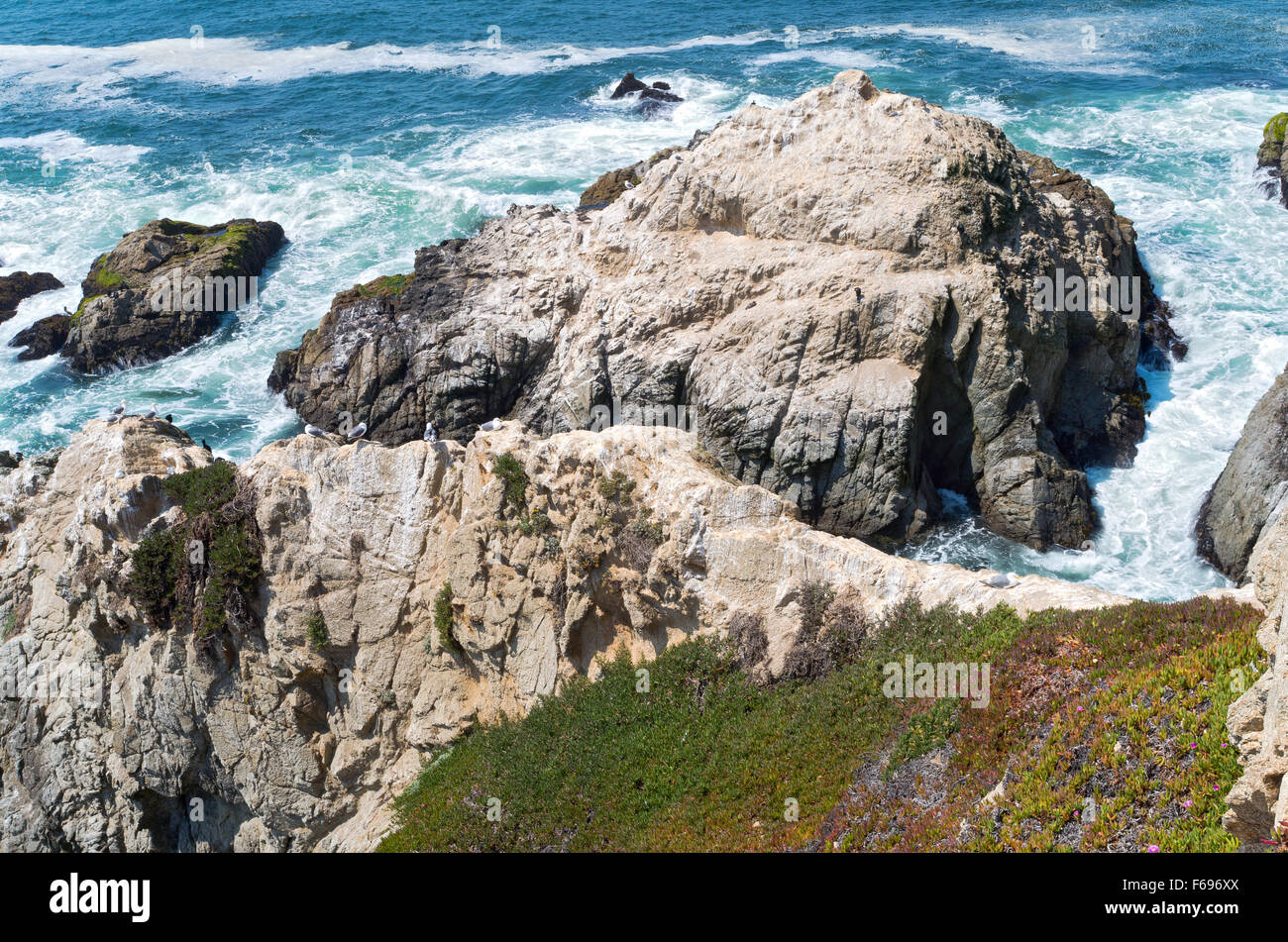 bodega head cliffs and rock outcropping along pacific coast of california Stock Photo