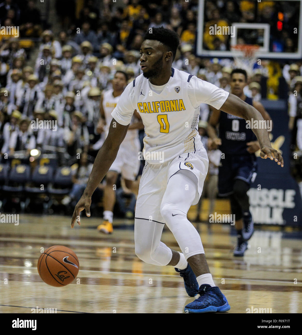 Jaylen Brown Game Used Issued University of California Basketball Jersey