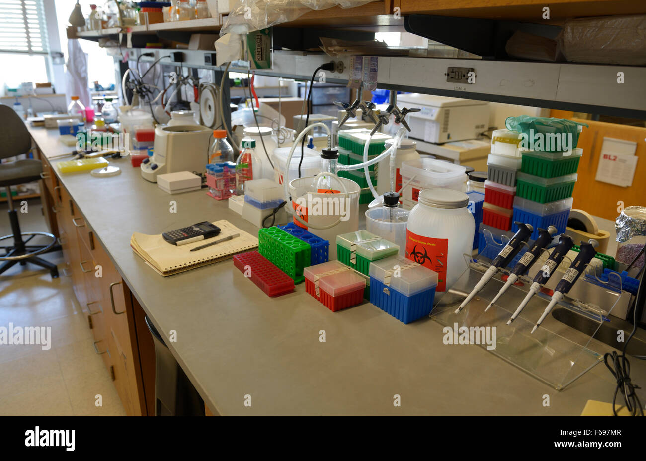 Biotechnology research lab, MIT Stock Photo