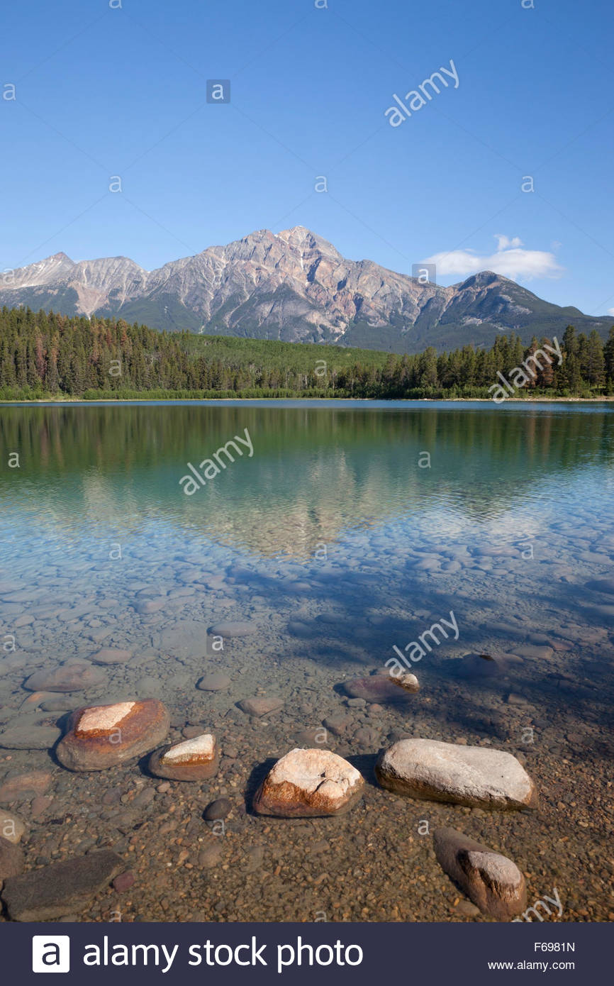 2019 year - Patricia Lake 2019 year