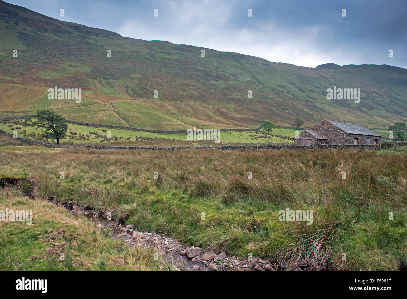 A derelict building in the Boredale Valley, Martindale, Lake District, Cumbria, England, Uk, Gb. Stock Photo