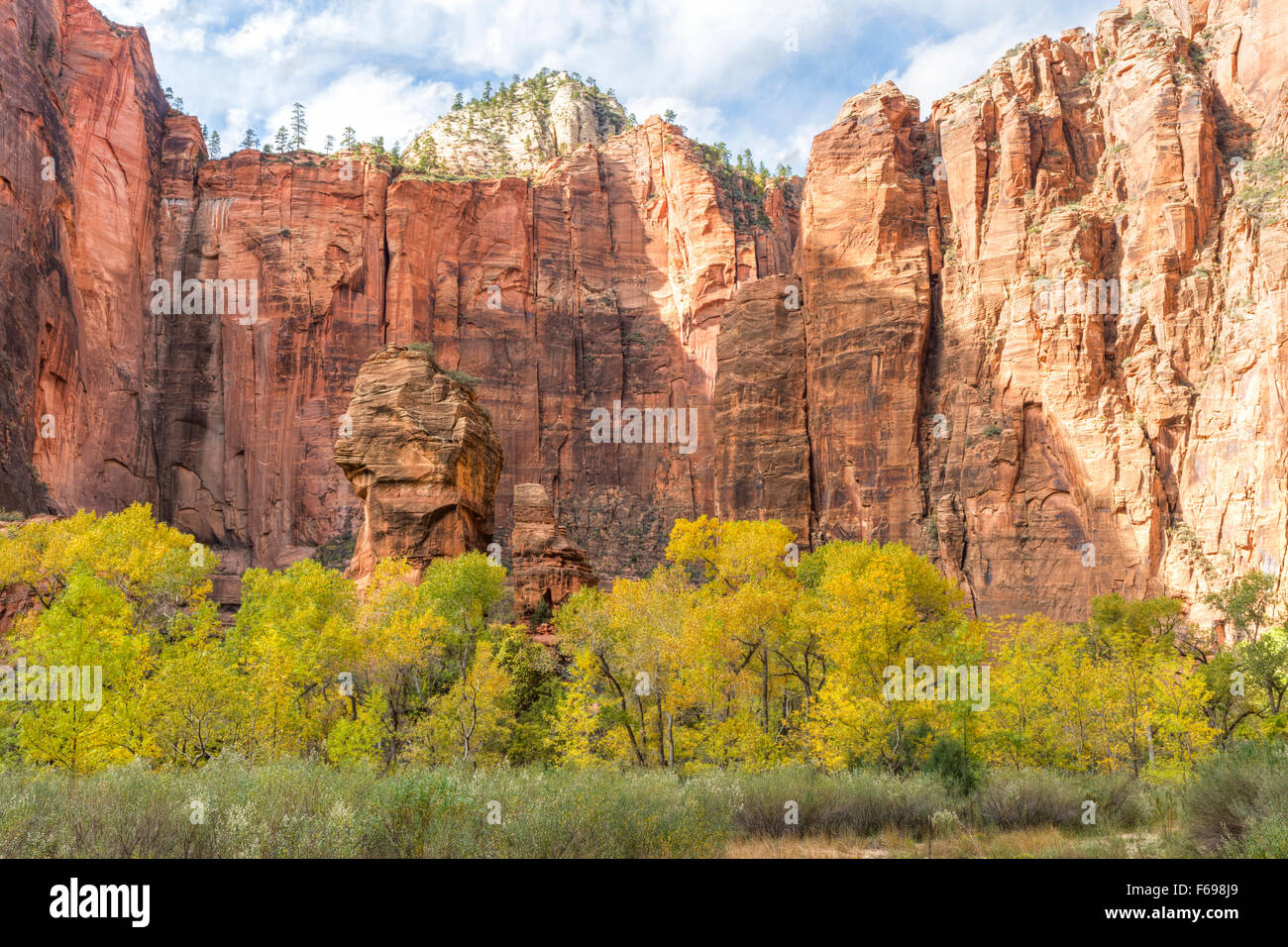An Autumn afternoon in the Zion Canyon amphitheater known as the Temple of Sinawava, in Zion National Park, Utah. Stock Photo