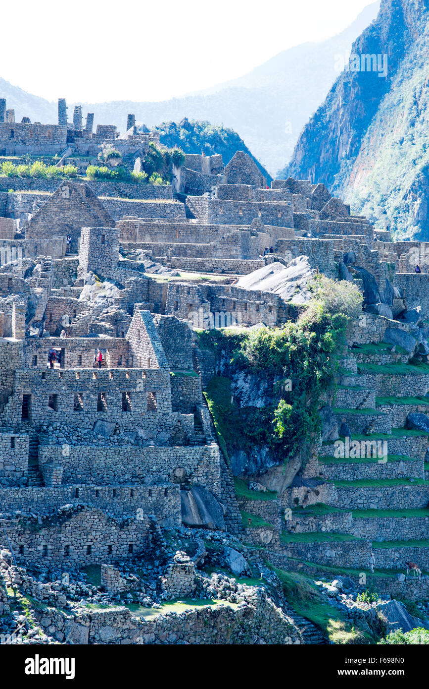 Machu picchu portrait hi-res stock photography and images - Alamy
