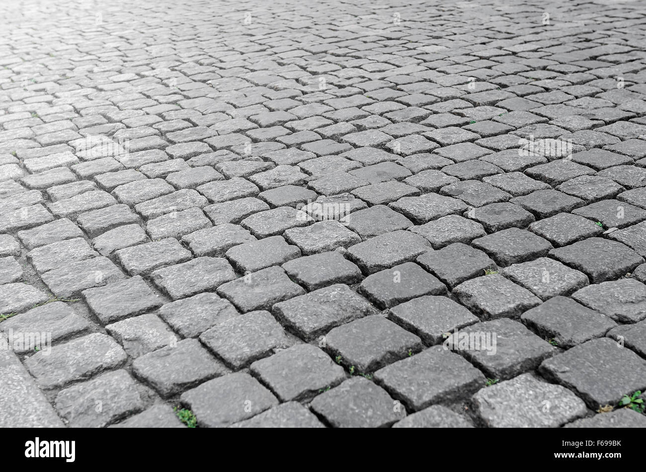 Cobbles with reflections of of sunlight. Stock Photo
