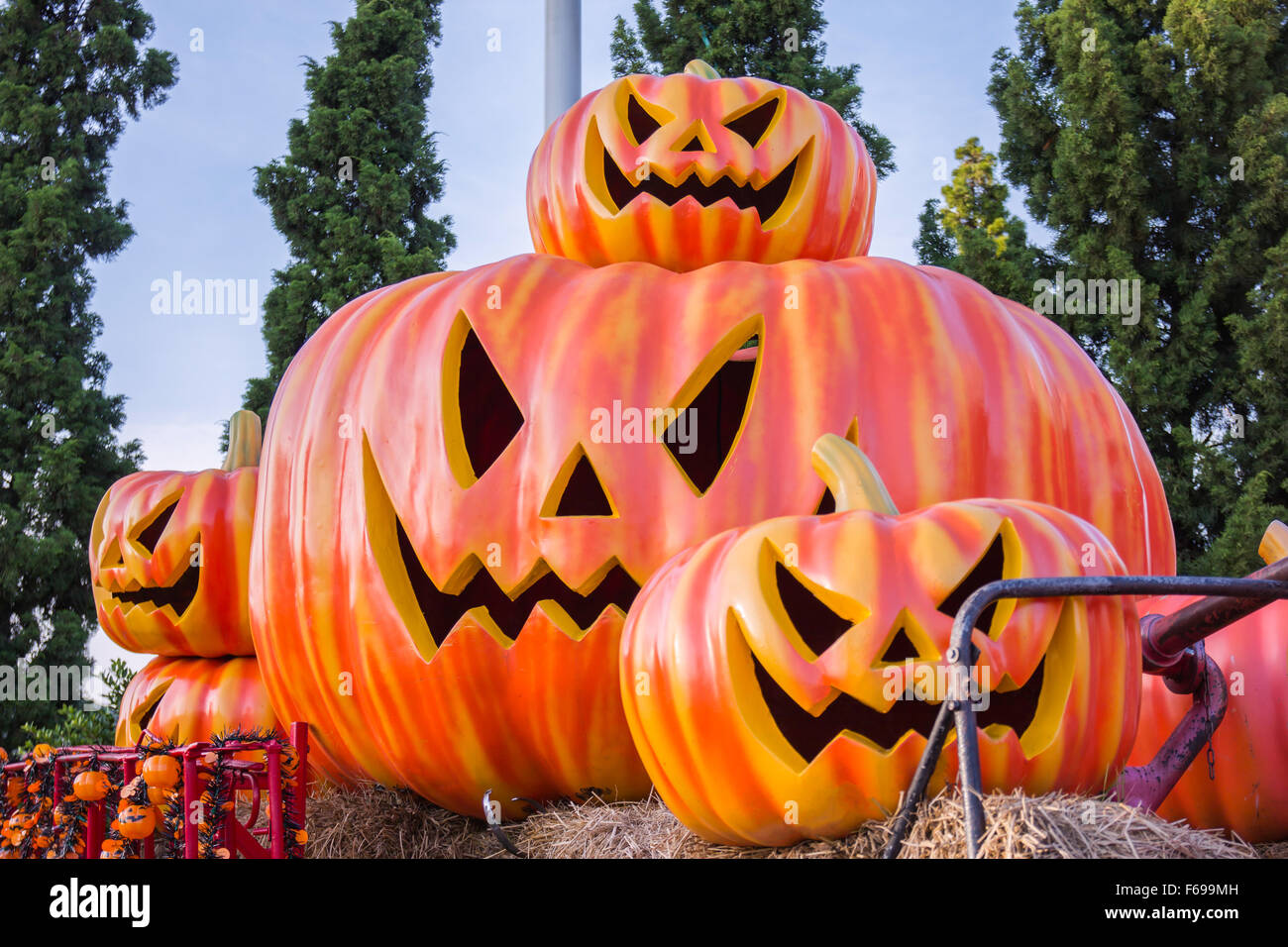 Halloween, pumpkins and Halloween scenery Stock Photo Alamy