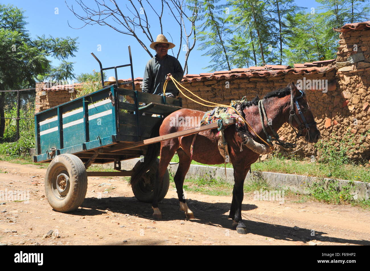 MEXICAN FARMER TRAVELLING IN CART Stock Photo