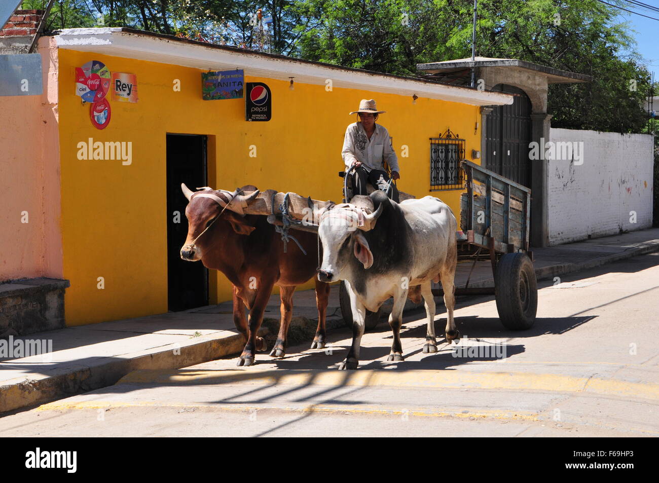 MEXICAN FARMER TRAVELLING IN CART Stock Photo