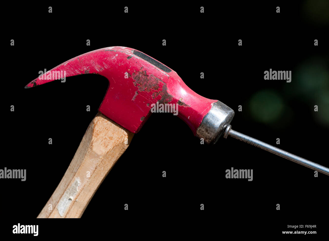 Conceptual image hit the nail on the head Stock Photo Alamy
