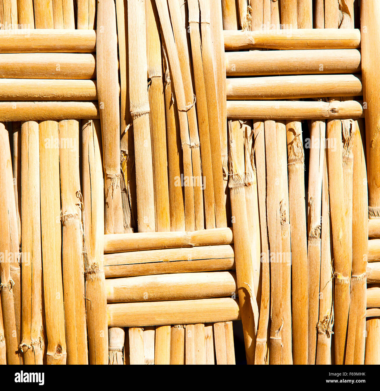 texture bamboo in morocco africa brown natural line closeup Stock Photo