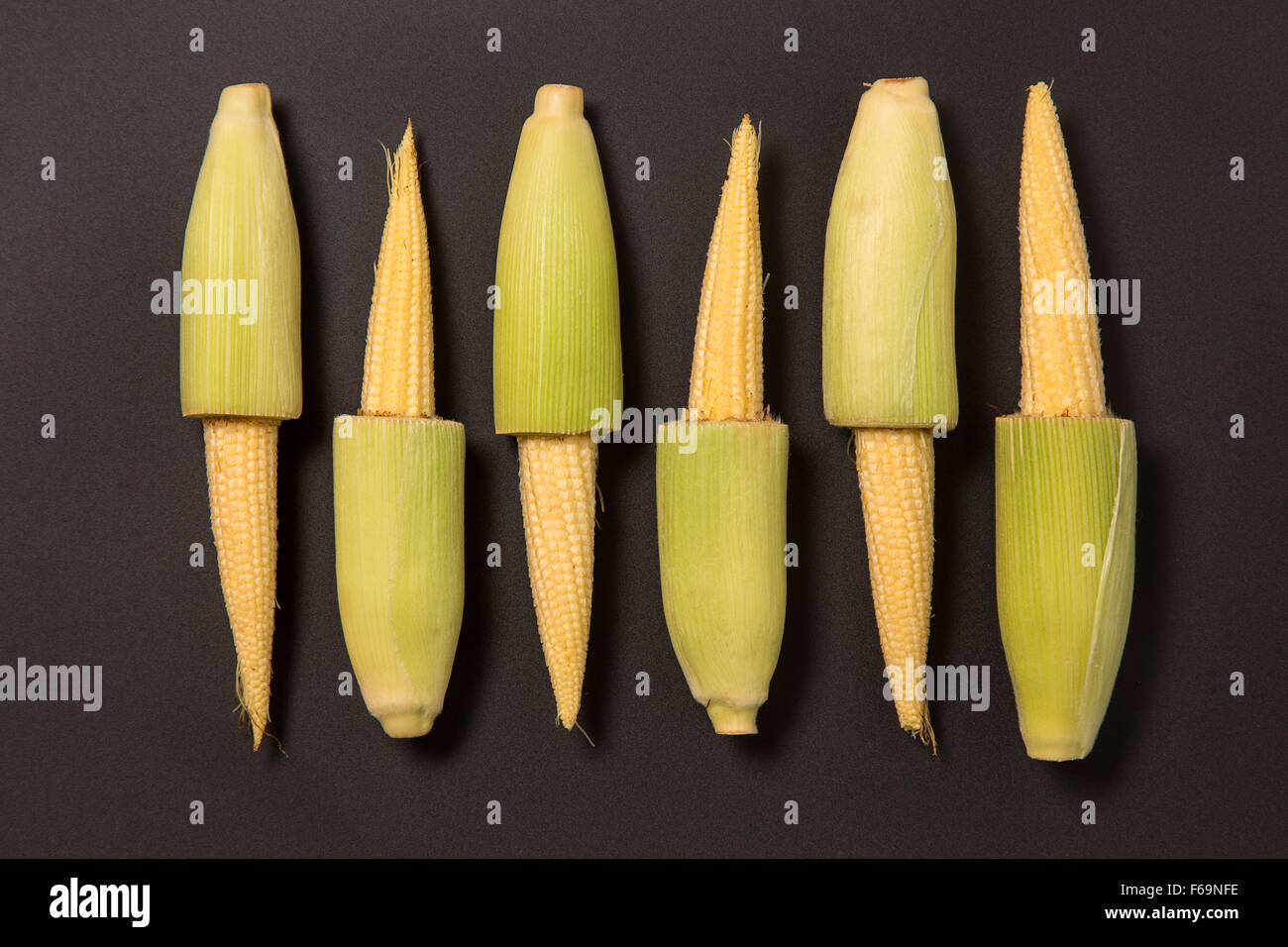 Raw of fresh baby corns, studio shot on black background Stock Photo