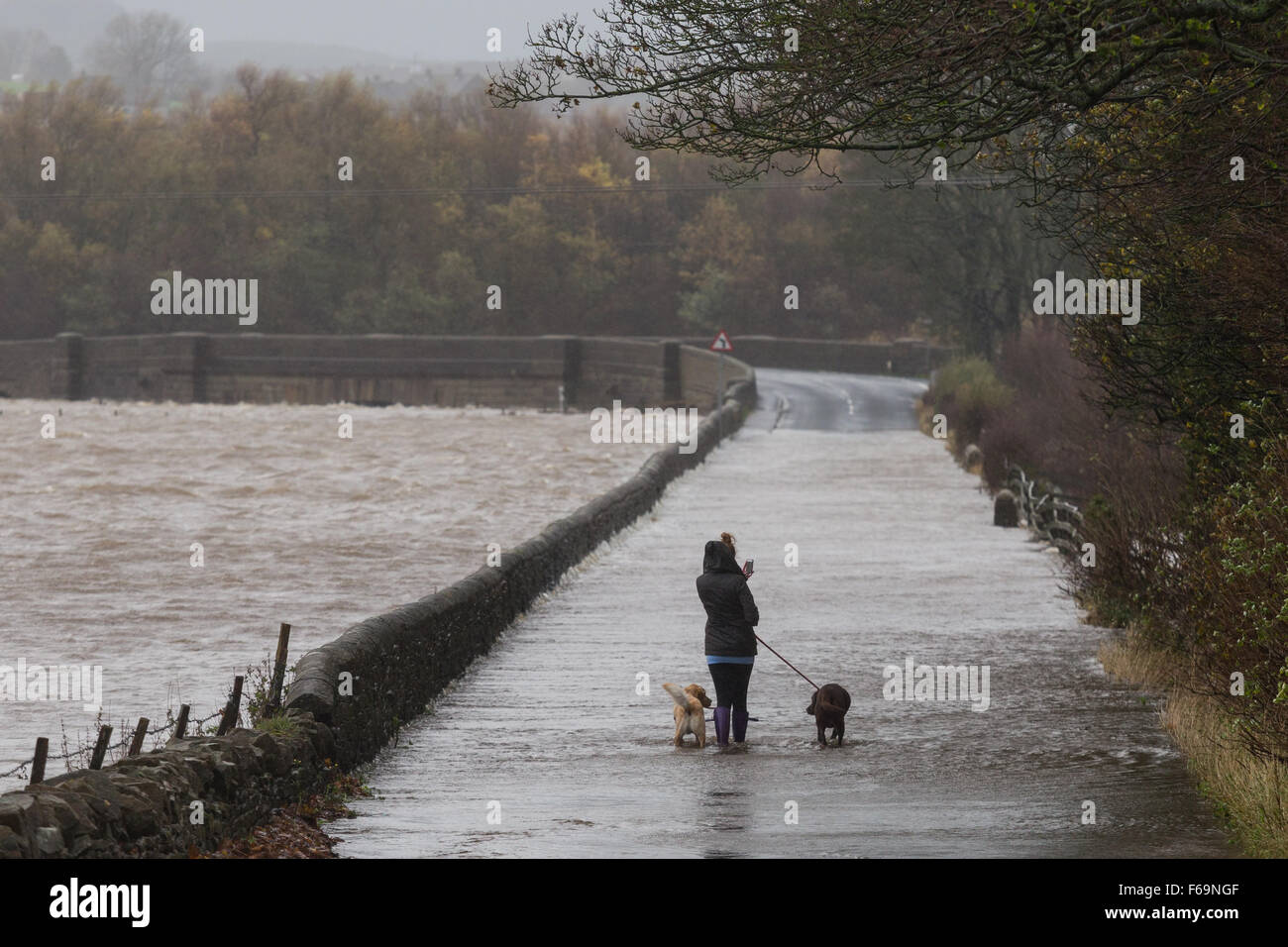 Aire valley lines hires stock photography and images Alamy