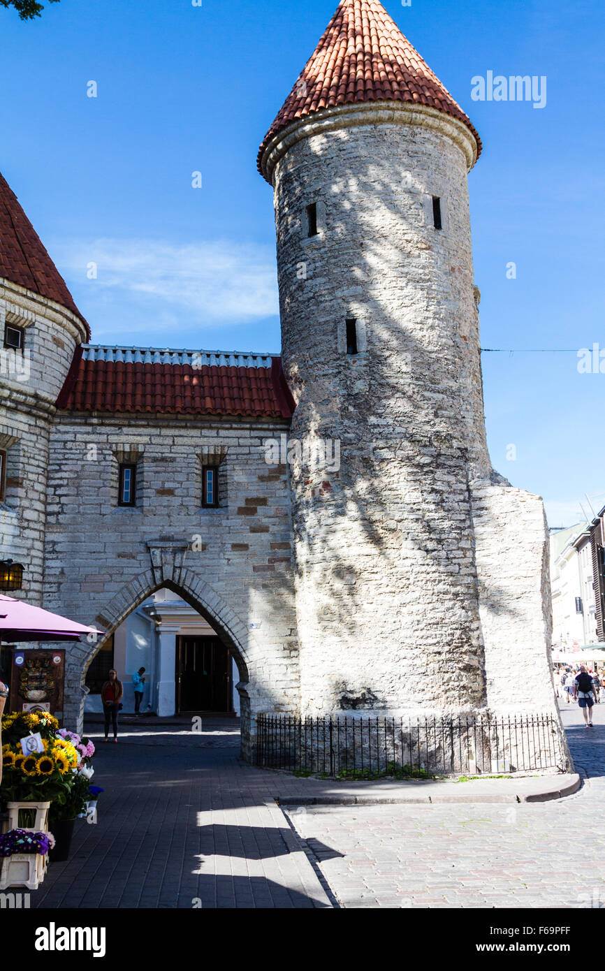 Gate to Tallinn Old Town, Estonia Stock Photo