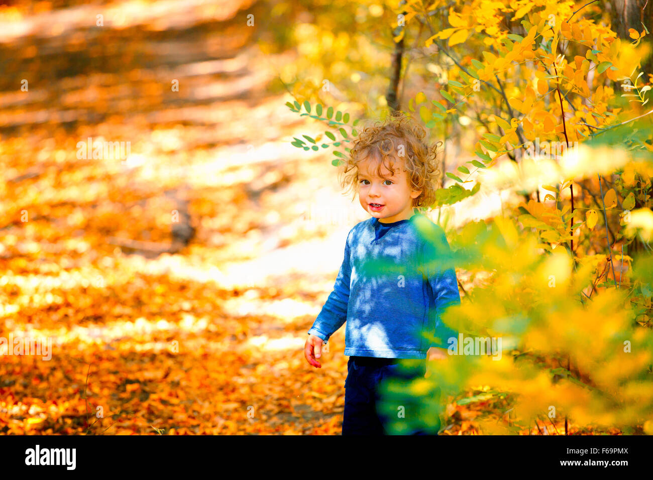 Portrait of 1 year old baby boy taking a walk in the woods in the fall. Stock Photo
