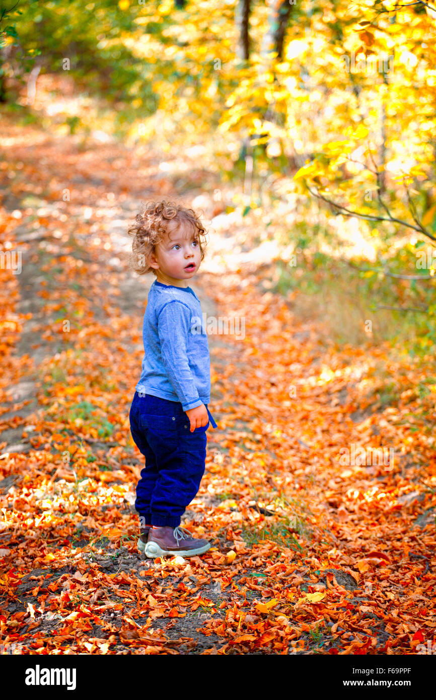Portrait of 1 year old baby boy taking a walk in the woods in the fall