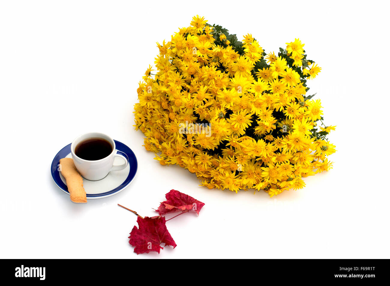 cup of coffee, beautiful autumn leaf and bouquet of flowers, isolate Stock Photo
