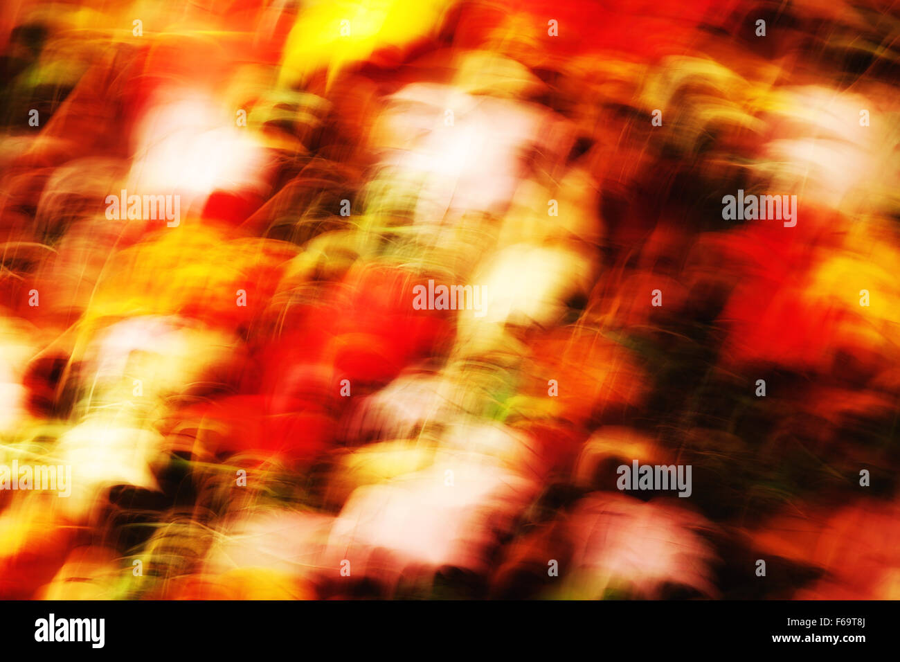 Colourful abstract background pattern of autumn leaves with motion blur, New England USA Stock Photo