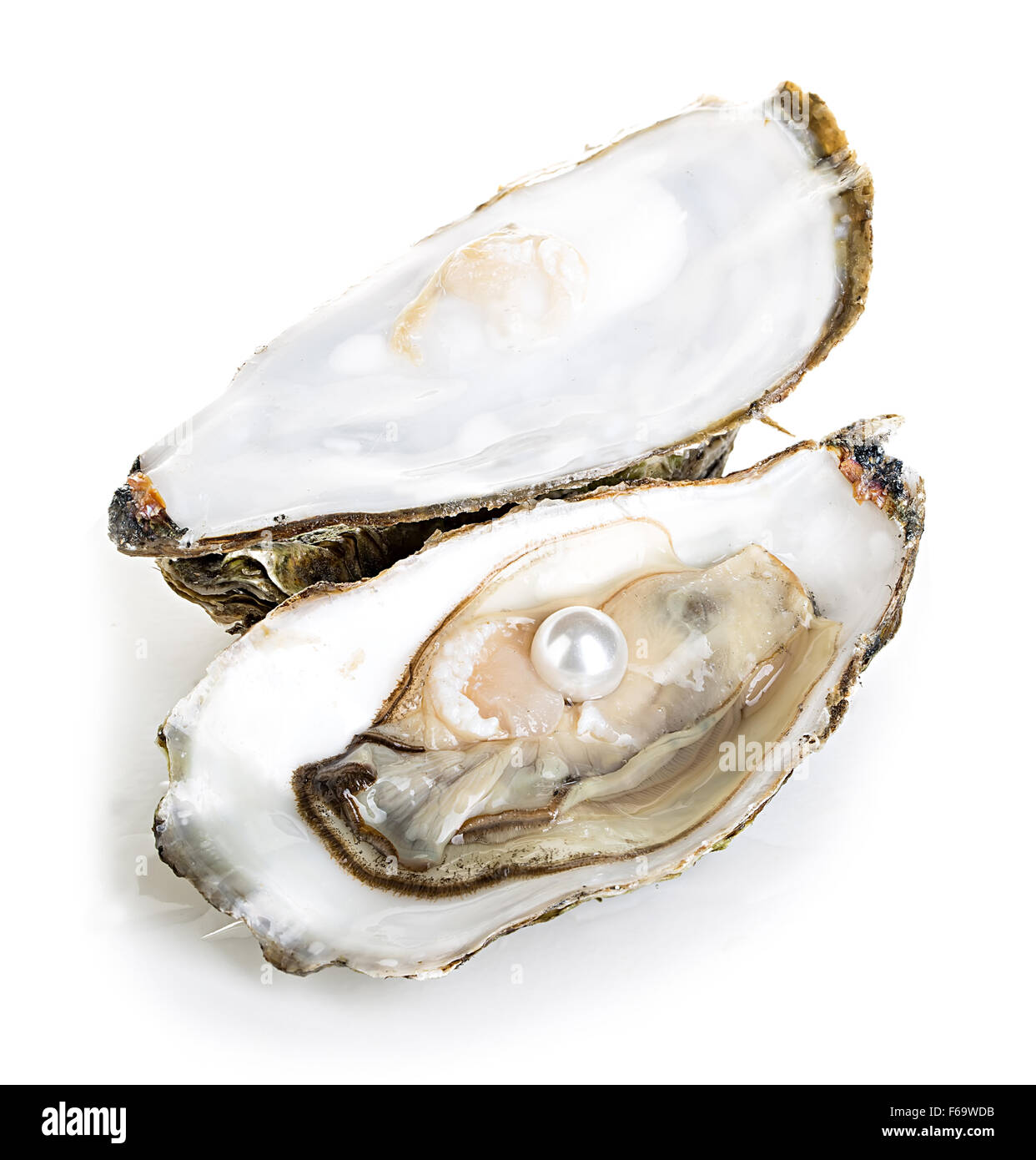 Oysters with pearls isolated on white background Stock Photo Alamy
