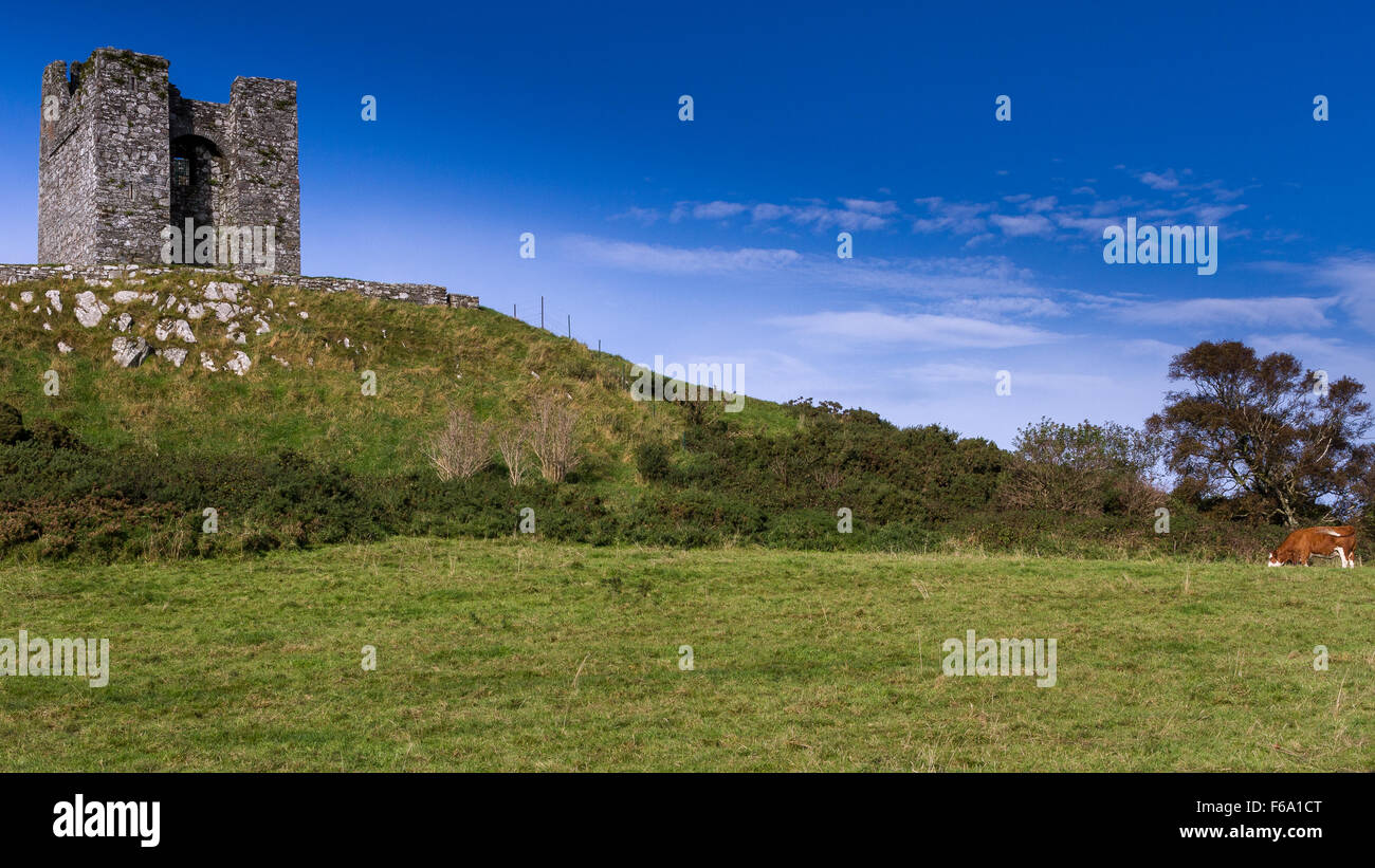 Castle and Cow, County Down, Northern Ireland Stock Photo