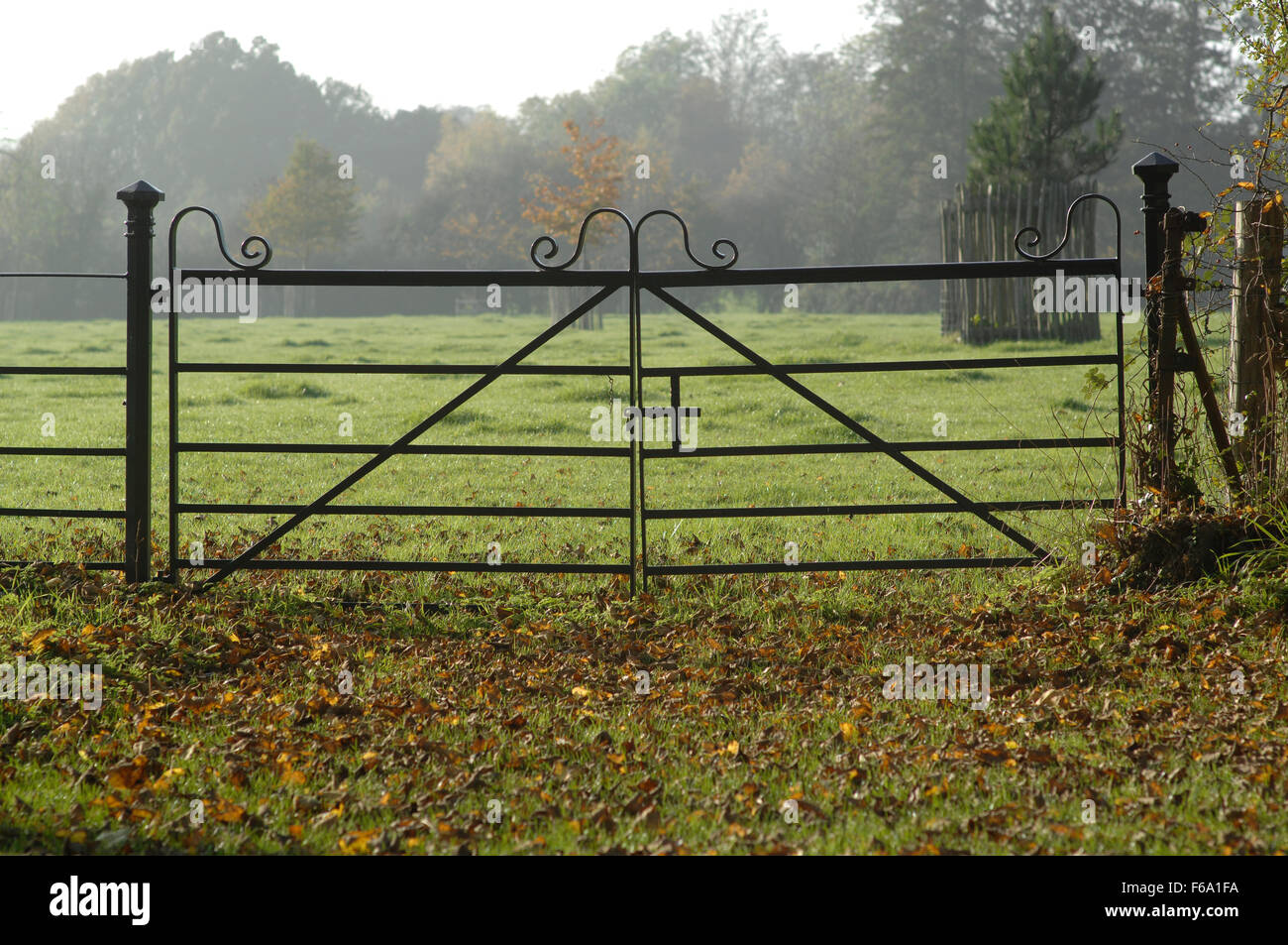 Metal gates in a park Stock Photo