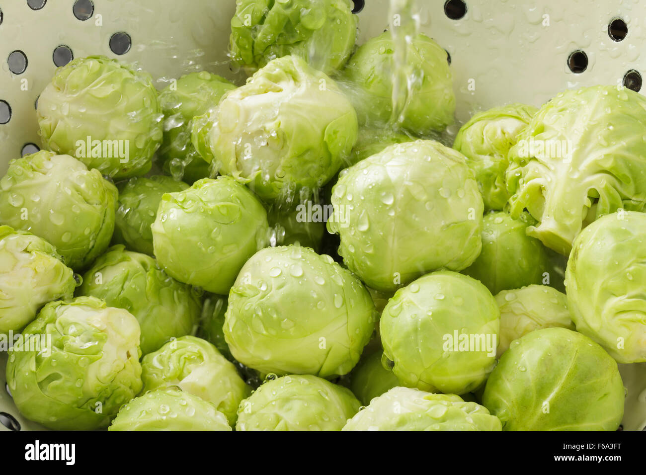 Brussels Sprouts in colander with running water Stock Photo